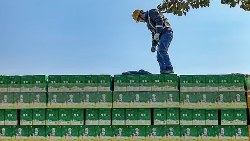 从工业拉格到风味实验室:一位从业者的啤酒行业深度观察 新闻
