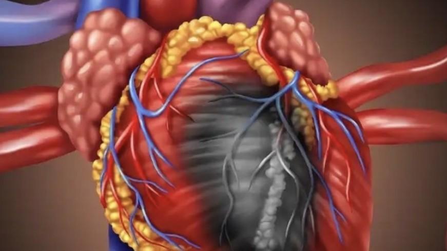  可穿戴睡眠监测十年：技术狂奔背后的诊断率悖论 IT技术
