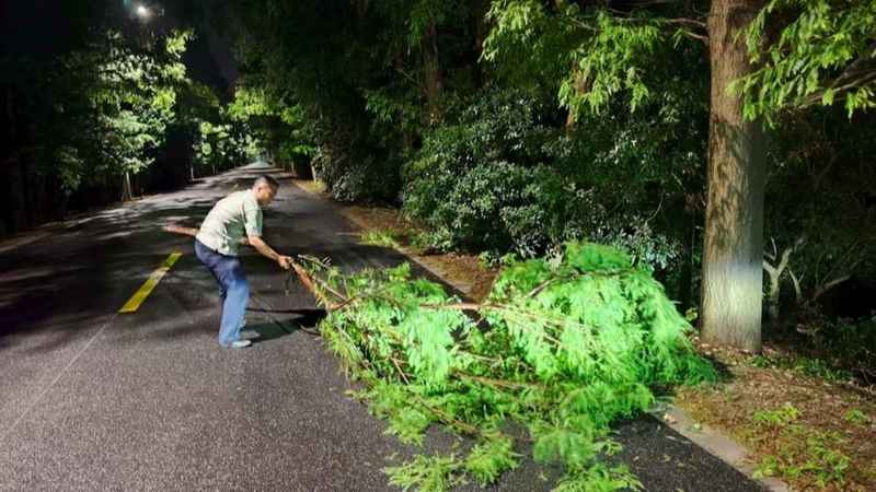  两岸经贸新脉动：上海与三三会的十五年融合启示录 新闻