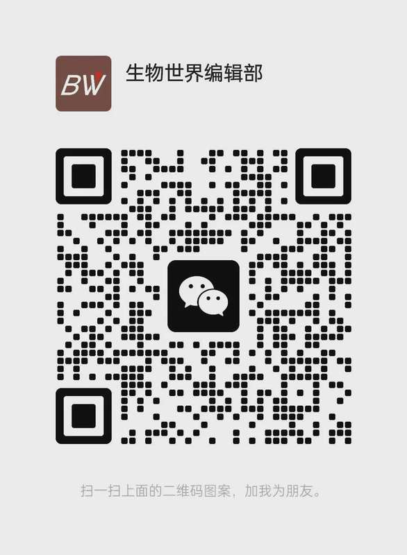  当显示技术走到瓶颈处，一群研究者选择换一种方式"拓印"未来 新闻