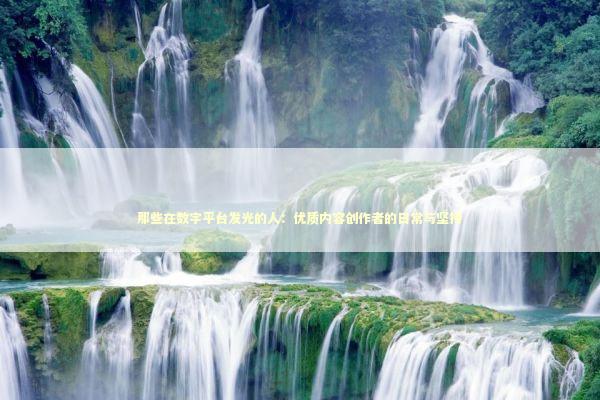 那些在数字平台发光的人：优质内容创作者的日常与坚持 新闻