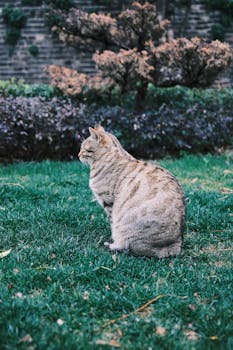  熊猫债市场持续升温，今年发行规模显著增长，同比实现大幅提升；法国巴黎银行即将首发入市，欧洲顶级机构积极参与。 股票财经 熊猫债市场持续升温，今年发行规模显著增长，同比实现大幅提升；法国巴黎银行即将首发入市，欧洲顶级机构积极参与。 股票财经
