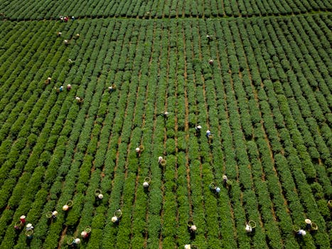各地科创新政密集落地;精准支撑科技自立自强。 IT技术 各地科创新政密集落地;精准支撑科技自立自强。 IT技术