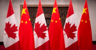  谎言的崩塌时刻：当“专家”无法回答最简单的问题 新闻 谎言的崩塌时刻：当“专家”无法回答最简单的问题 新闻