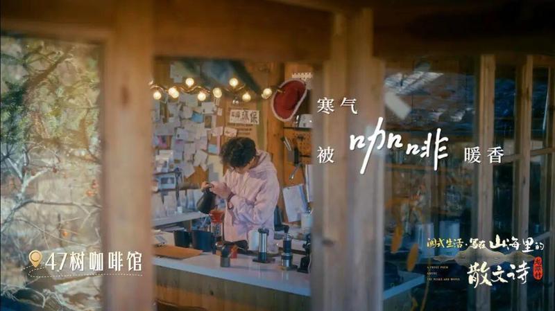  焦虑与逃离：在闽地山野重塑自我秩序 情感心理