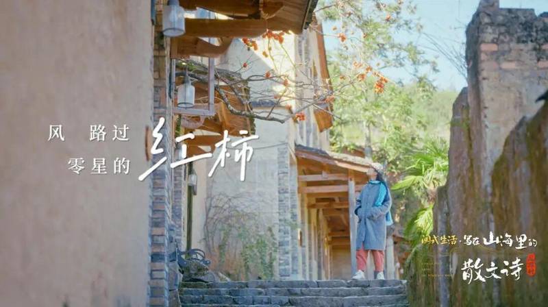  焦虑与逃离：在闽地山野重塑自我秩序 情感心理