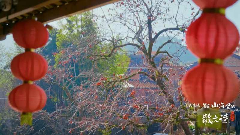  焦虑与逃离：在闽地山野重塑自我秩序 情感心理