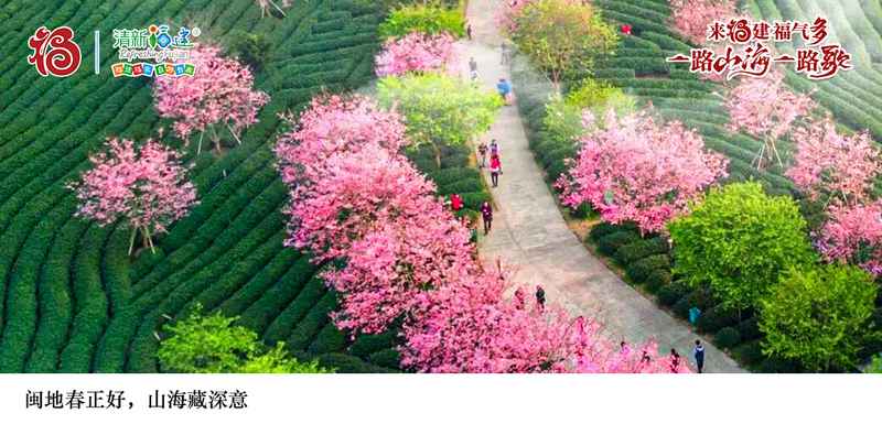  焦虑与逃离：在闽地山野重塑自我秩序 情感心理