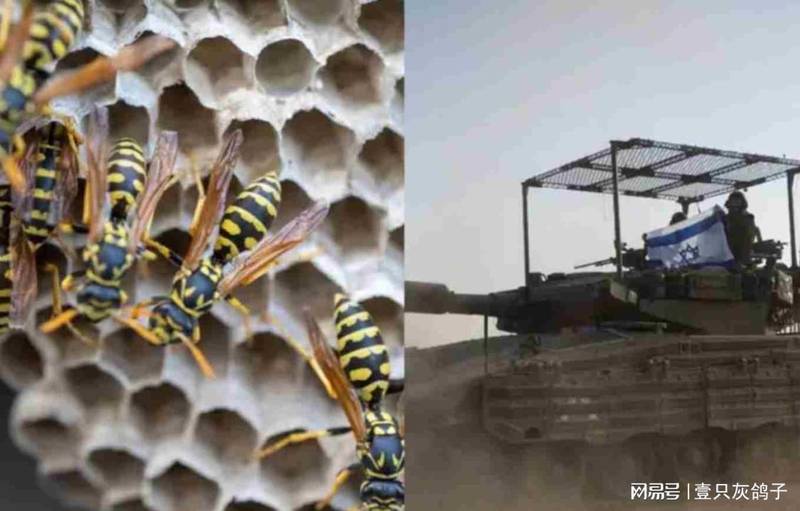  技术视角·深层剖析：当蜂群成为“非致命反制”武器——以色列生态危机启示录 新闻
