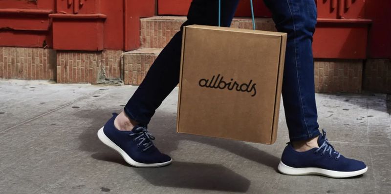 从估值四十亿到仙股深渊：Allbirds转型AI的技术复盘与逻辑漏洞