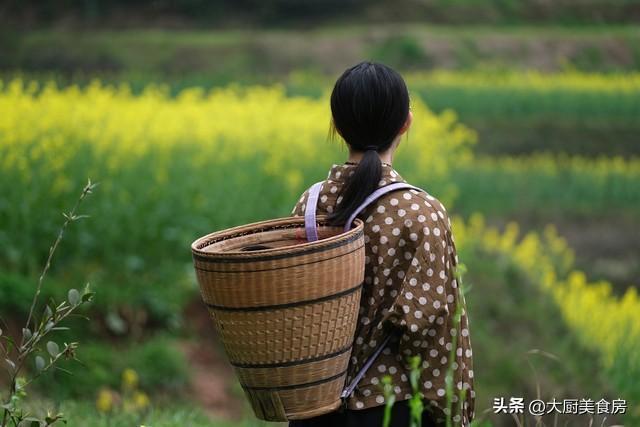  【节气深读】三月三晴天的农学密码：从气象规律到丰收预判的系统解析 文化旅游