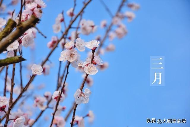  【节气深读】三月三晴天的农学密码：从气象规律到丰收预判的系统解析 文化旅游