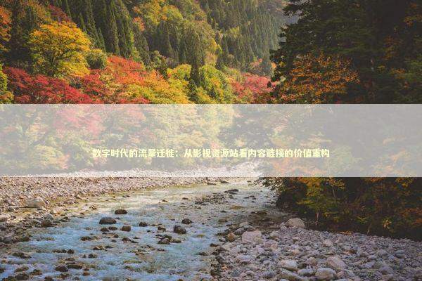 数字时代的流量迁徙：从影视资源站看内容链接的价值重构 新闻