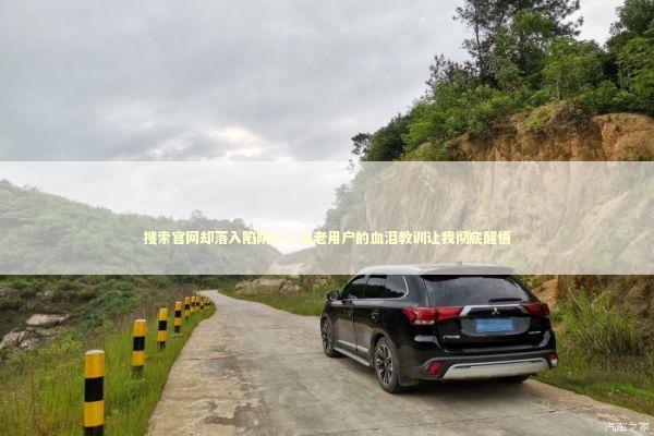 搜索官网却落入陷阱？一位老用户的血泪教训让我彻底醒悟 IT技术