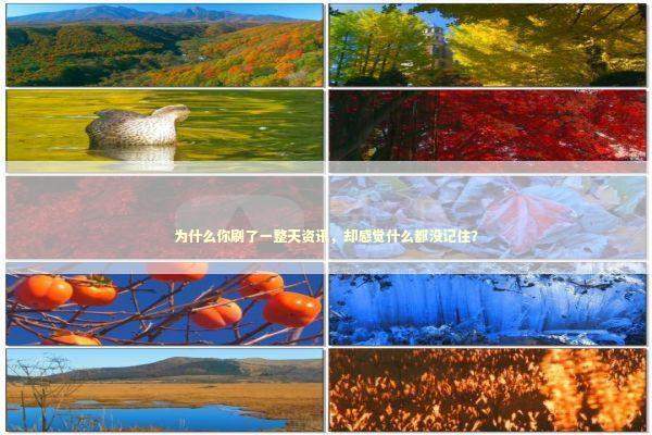 为什么你刷了一整天资讯，却感觉什么都没记住？ 新闻